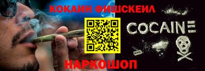 гашик Кудрово