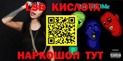 гашик Кудрово