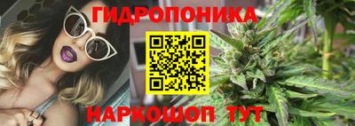 гашик Кудрово
