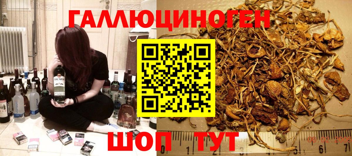 Псилоцибиновые грибы GOLDEN TEACHER Зеленогорск
