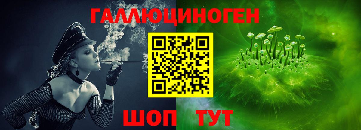 хочу   Галлюциногенные грибы MAGIC MUSHROOMS  Вход с VPN  Зеленогорск 